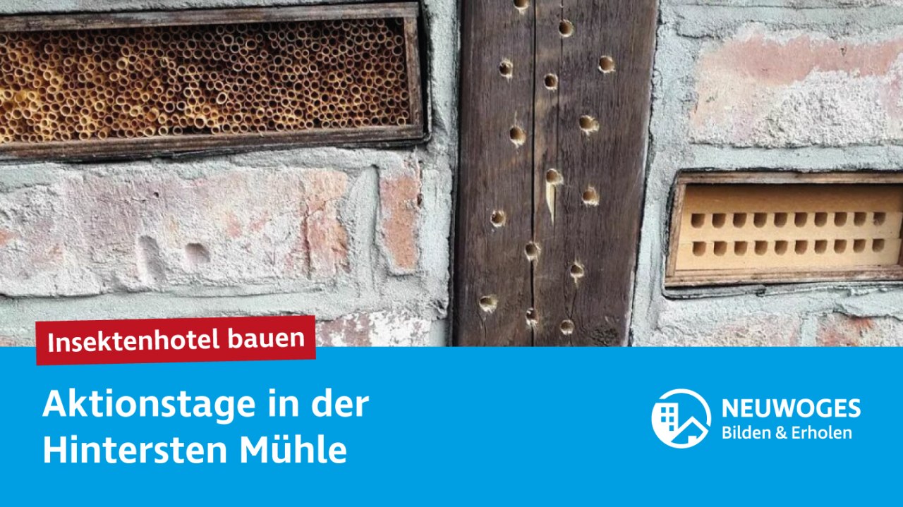 &copy; NEUWOGES