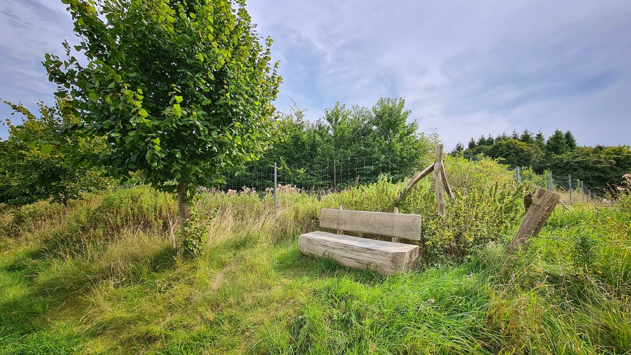 Klimatyczny las Stubnitz, &copy; Landesforst MV