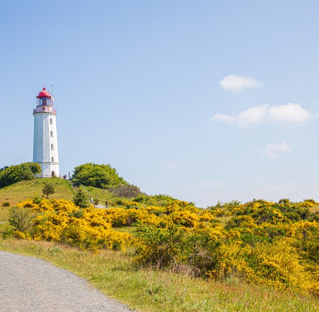 Das Wahrzeichen der Insel Hiddensee.
Kommt man zur Insel Hiddensee, so kommt man an ihm einfach nicht vorbei: dem Leuchtturm Dornbuch! // © Weiße Flotte GmbH Das Wahrzeichen der Insel Hiddensee.
Kommt man zur Insel Hiddensee, so kommt man an ihm einfach nicht vorbei: dem Leuchtturm Dornbuch! // © Weiße Flotte GmbH