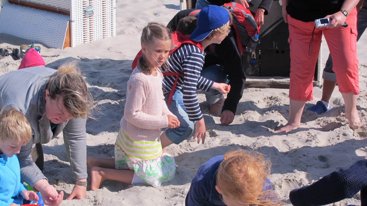 Busy search for the gold of the sea, &copy; Kurverwaltung Ahrenshoop, Foto Andrea Kr&uuml;ger