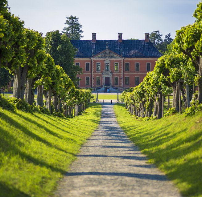 Feston avenue to Bothmer Castle, © SSGK MV / Timm Allrich