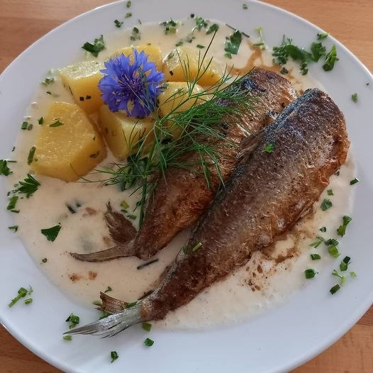 Plażowa perła Zippendorf, &copy; Strandperle Zippendorf