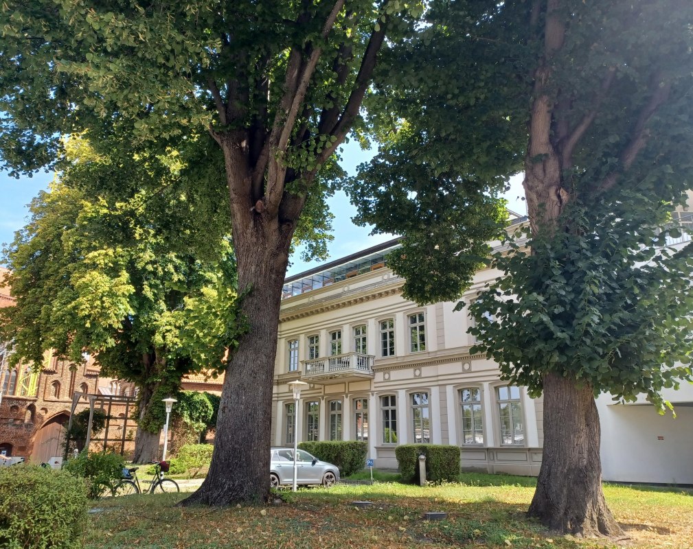 Former Volksgarten in Stralsund // © Angela Pfennig Former Volksgarten in Stralsund // © Angela Pfennig