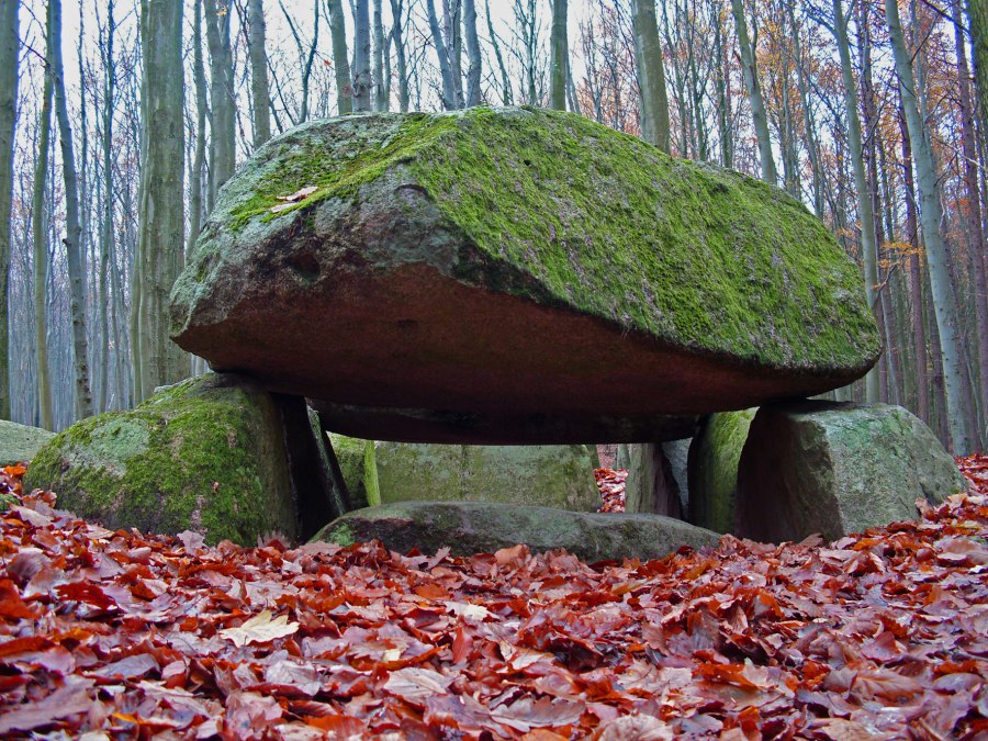 Megalityczny grobowiec w hali leśnej w Sassnitz, © Archäo Tour Rügen