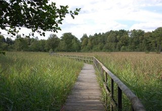 The trail leads through sections of forest and across wet meadows. // © Gabriele Skorupski The trail leads through sections of forest and across wet meadows. // © Gabriele Skorupski