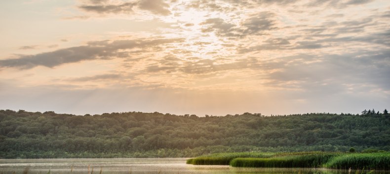 © Binzer Bucht Tourismus