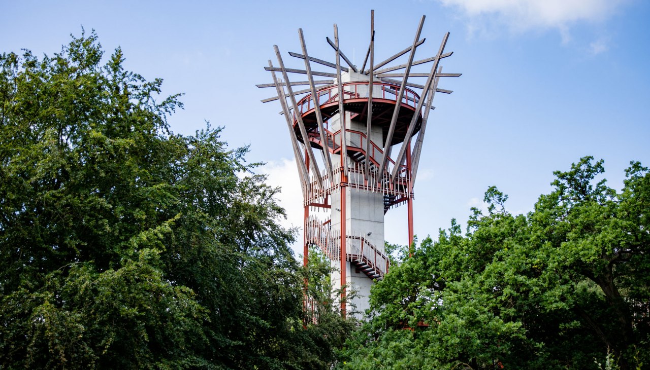 aussichtsturm1, © Landesforst MV