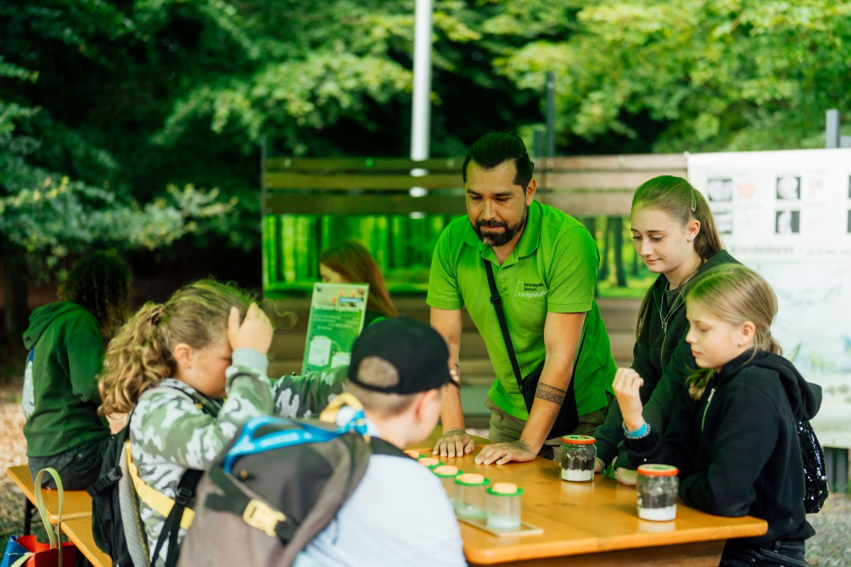 &copy; Nationalpark-Zentrum K&Ouml;NIGSSTUHL / Dan Petermann