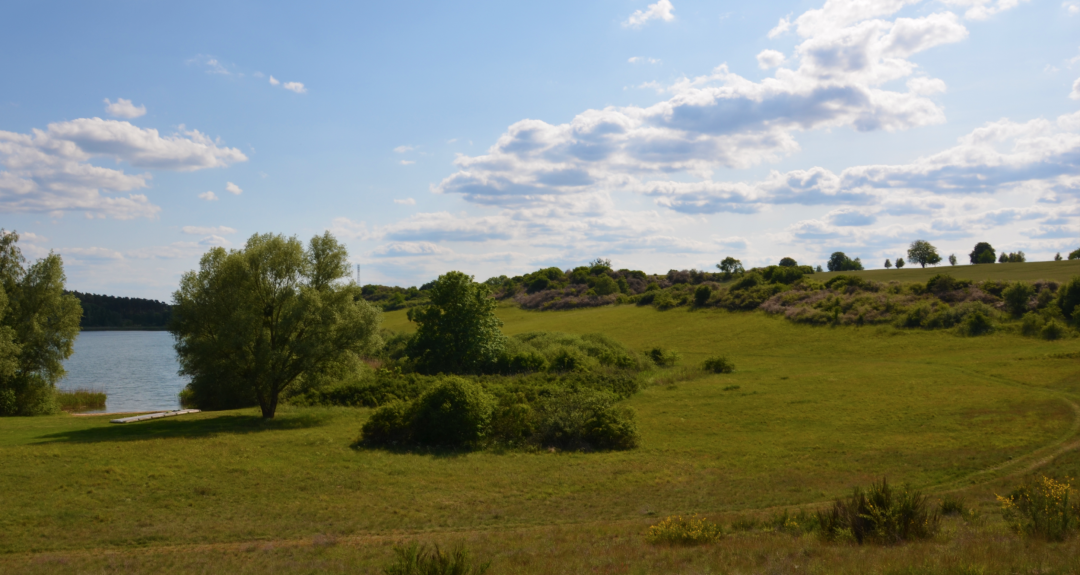 Lake Cantnitz bathing area north shore 2, © Martin Möller