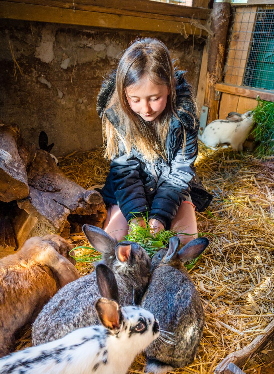 Waldhof Bruchm&uuml;hle - Konijnen voeren, &copy; TMV/Tiemann