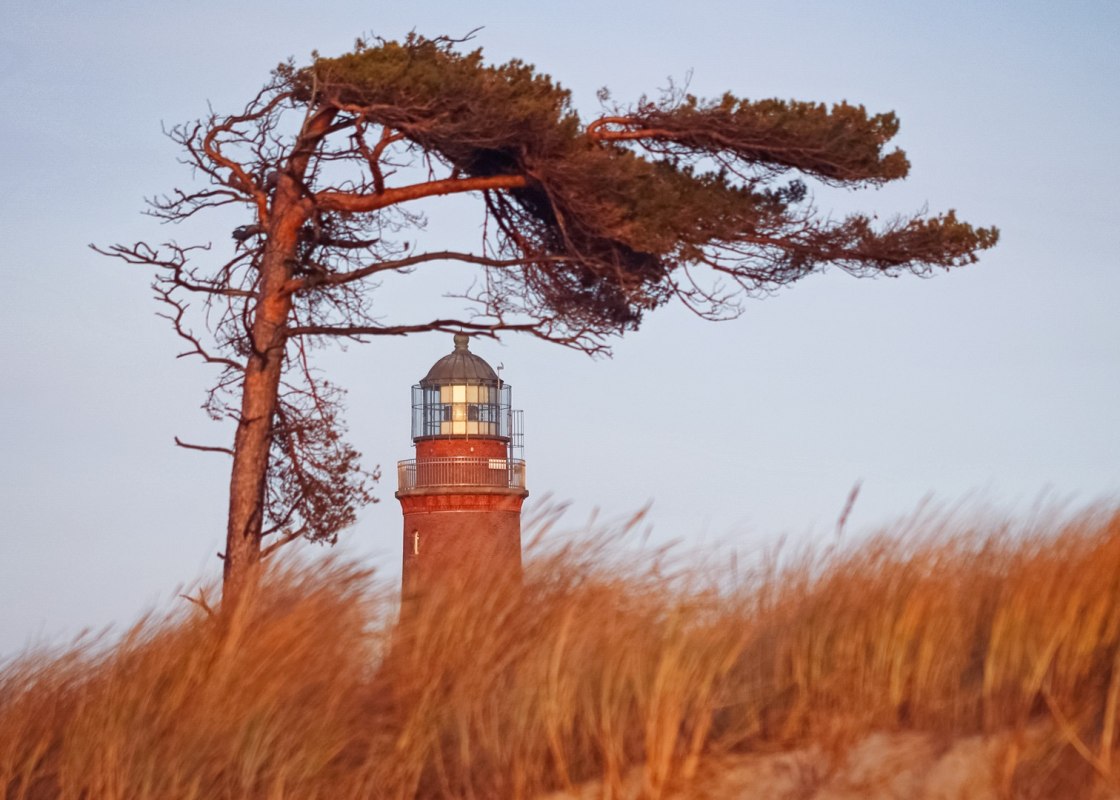 The Darss west beach is adorned by a lighthouse, which is part of the NATUREUM. // &copy; Anke Neumeister/Deutsches Meeresmuseum