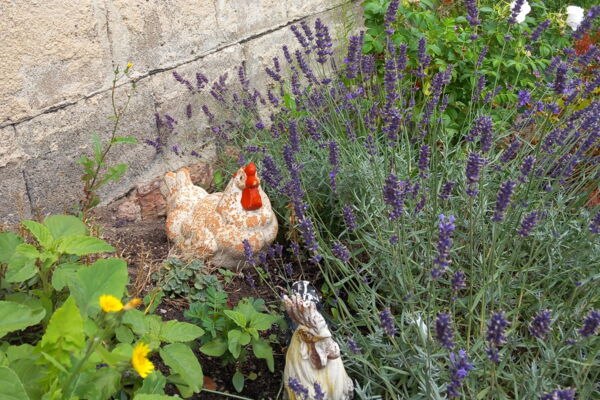 20230725_120021-6fee50c2, © Rundbus Plauer See 20230725_120021-6fee50c2, © Rundbus Plauer See