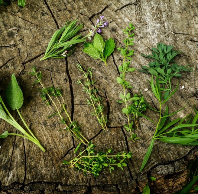 © Baylay Nargang (pixabay) © Baylay Nargang (pixabay)