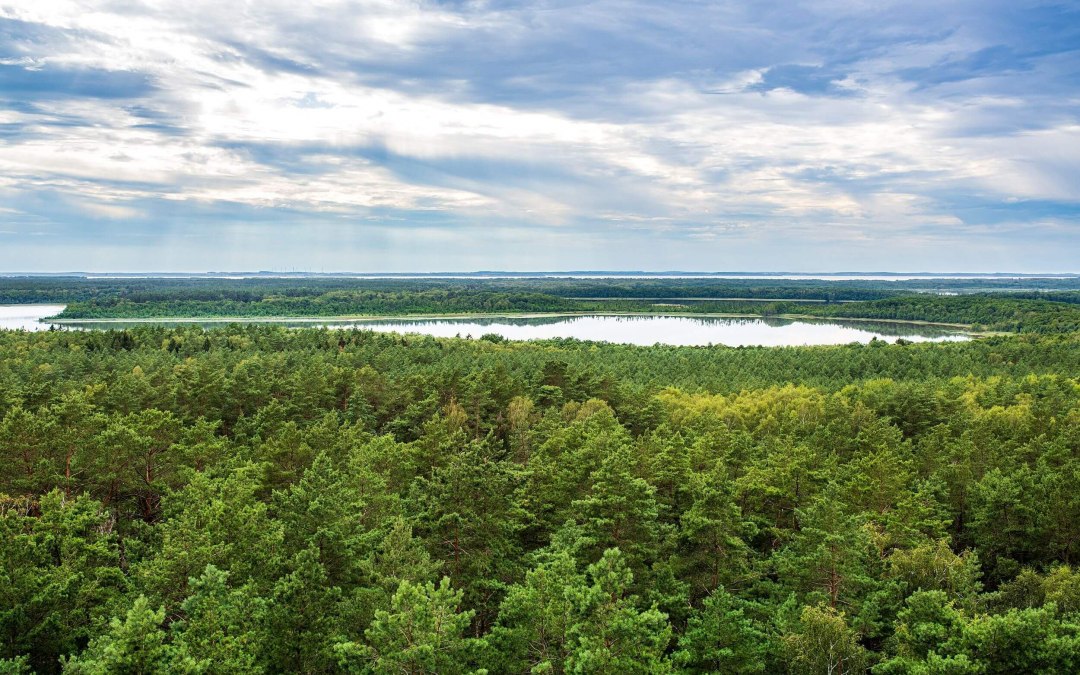 Nature observation in the Mecklenburg Lake District // © MV-T/Tiemann Nature observation in the Mecklenburg Lake District // © MV-T/Tiemann