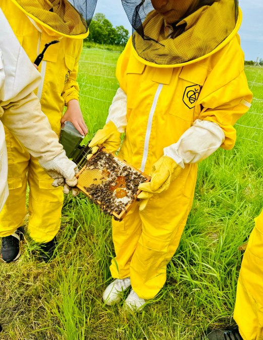 Szkoły i przedszkola oraz prywatne wycieczki, © Anja Heinemann Szkoły i przedszkola oraz prywatne wycieczki, © Anja Heinemann