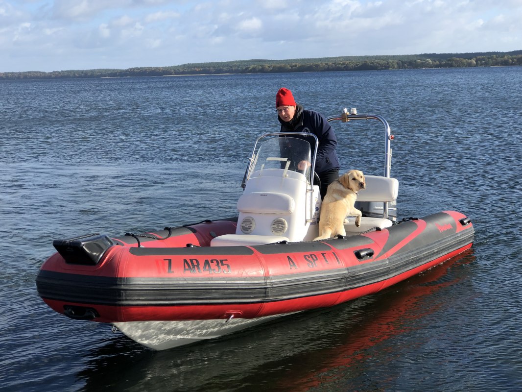 IMG_8784, © Plauer Hai-Live e. V. IMG_8784, © Plauer Hai-Live e. V.