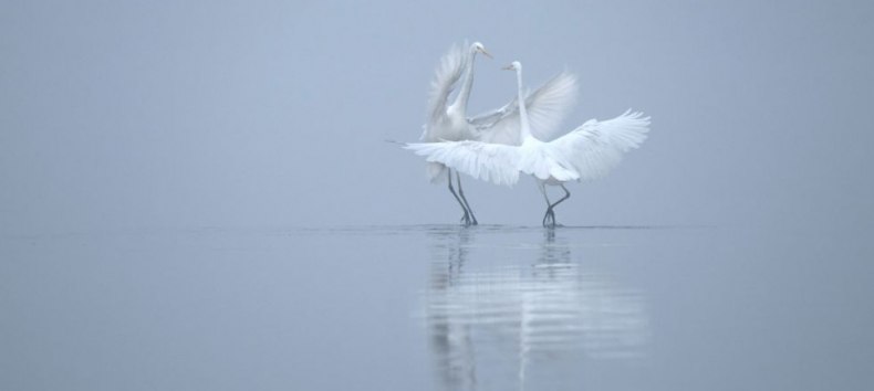 &copy; Monika Lawrenz