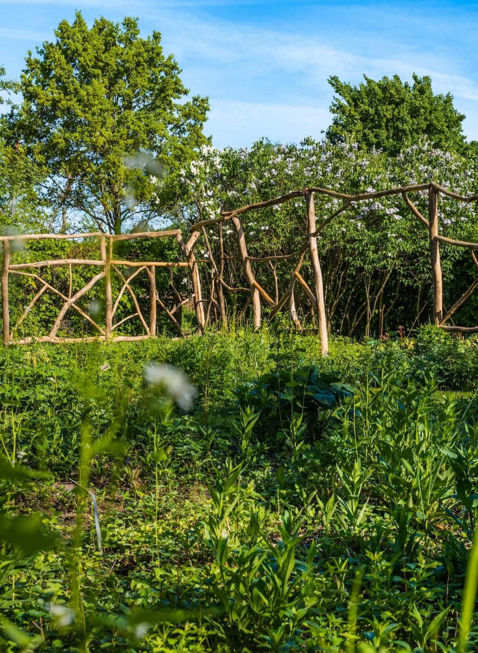 Ogród Wangelin z instalacjami artystycznymi - drewno skonstruowane jako dzielnik pokoju, jak pół-drewno nad roślinami.