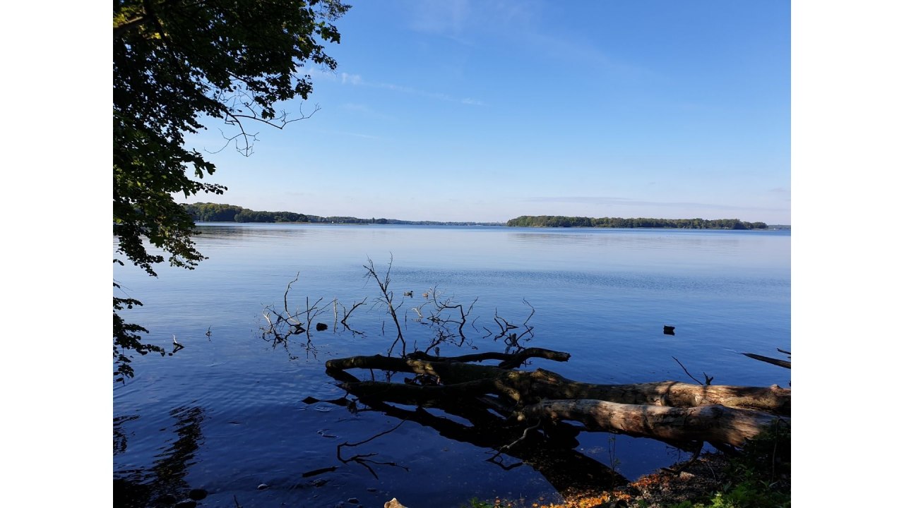 Jezioro Au&szlig;ensee w Schwerinie // &copy; Geertje Schumann