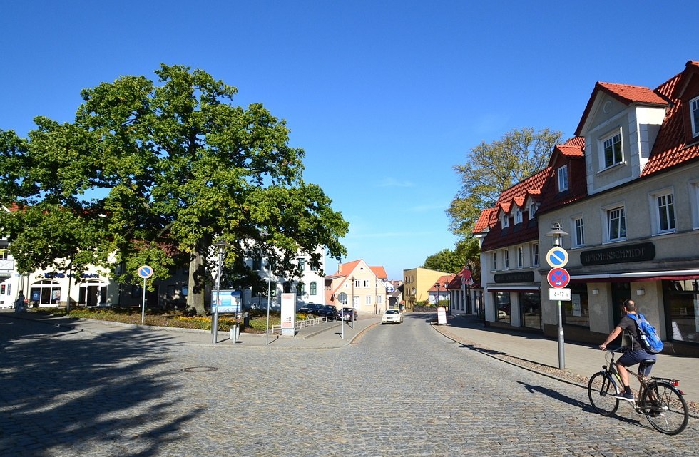 Billroth oak, © Tourismuszentrale Rügen
