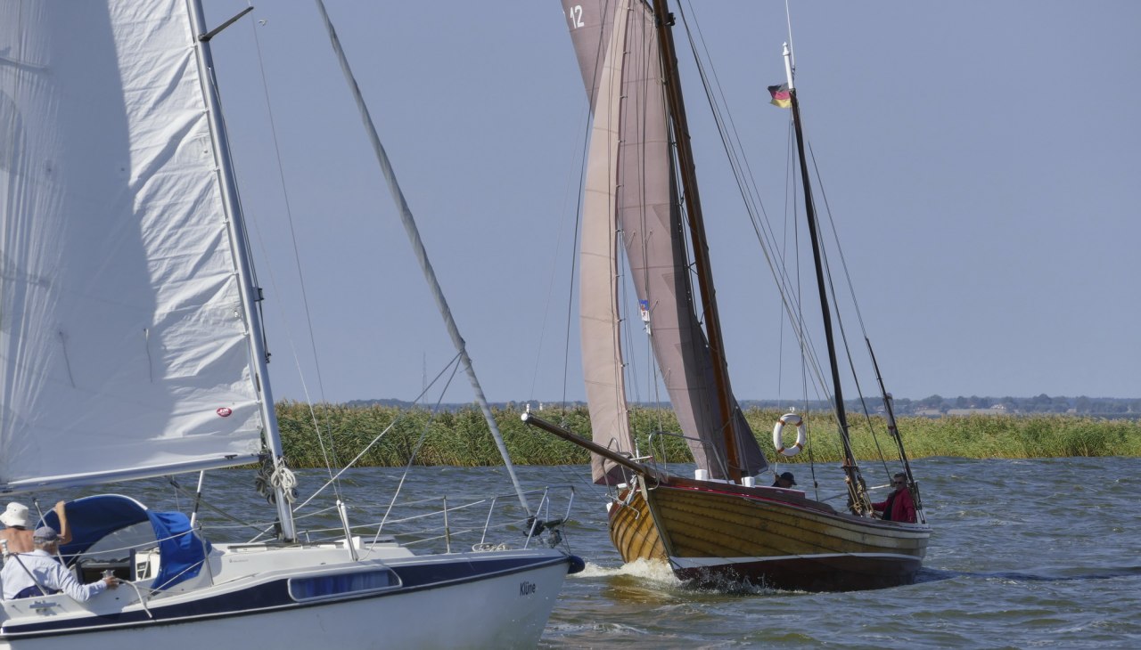 Sailing in the Stettin Lagoon with the coast of Usedom Island in sight, © TMV/cross media redaktion Sailing in the Stettin Lagoon with the coast of Usedom Island in sight, © TMV/cross media redaktion
