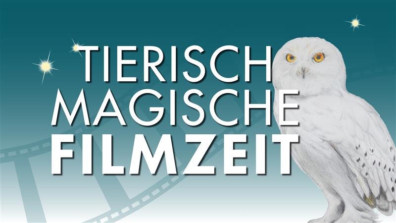 Filmzeit_allgemein_quer_16zu9, © Zoo Rostock