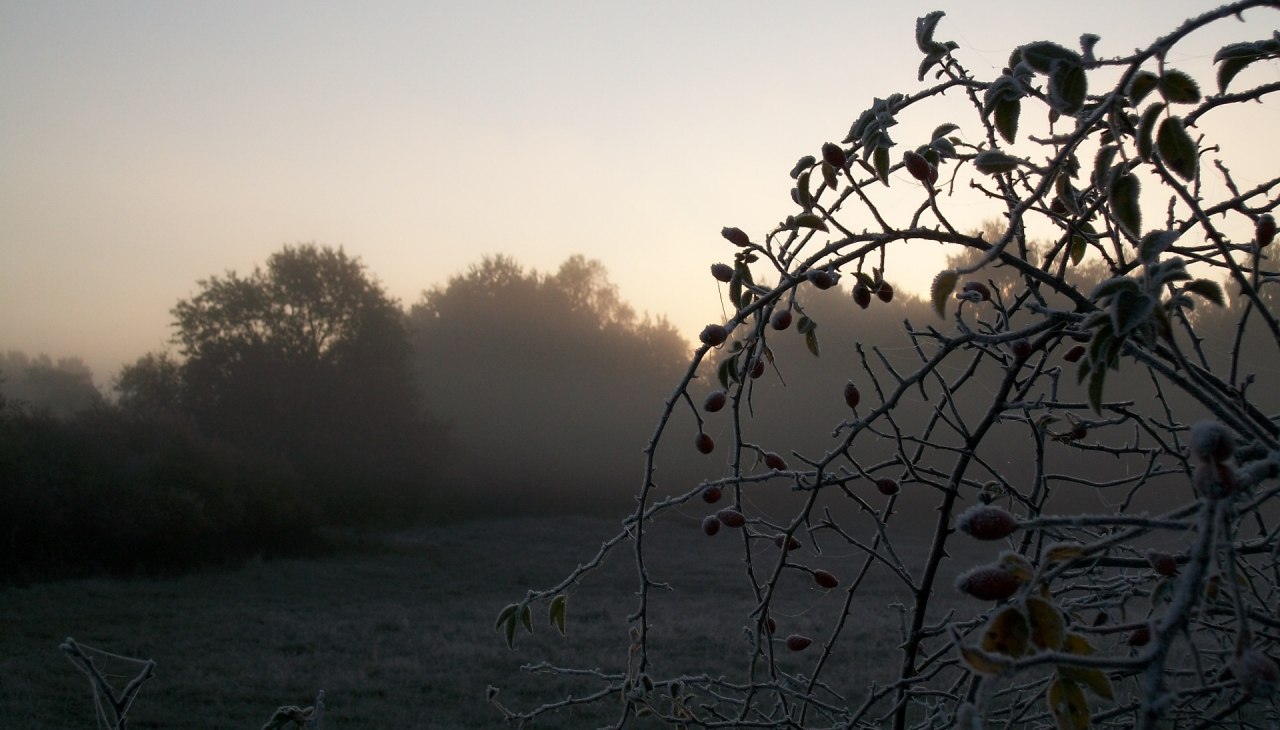 Jesienna atmosfera w Hullerbusch, © Heidegunde Voigtländer