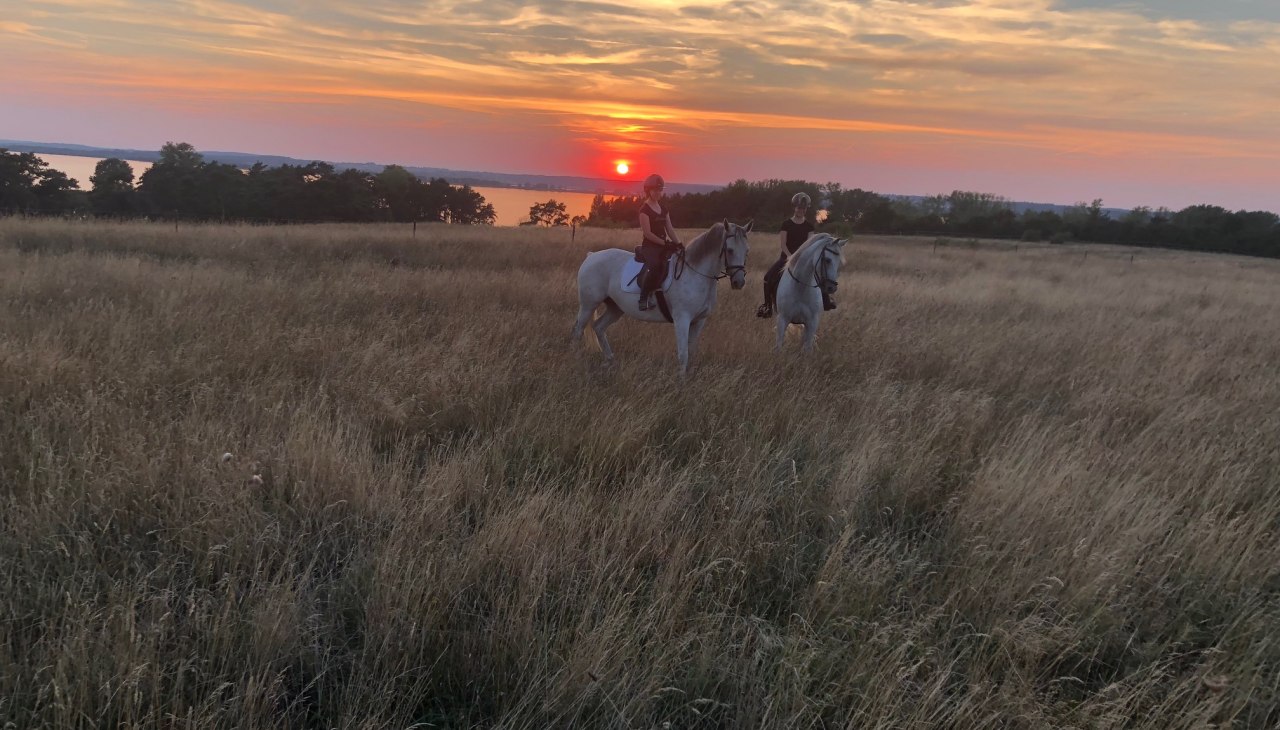 Omgeving, © Bombis Omgeving, © Bombis