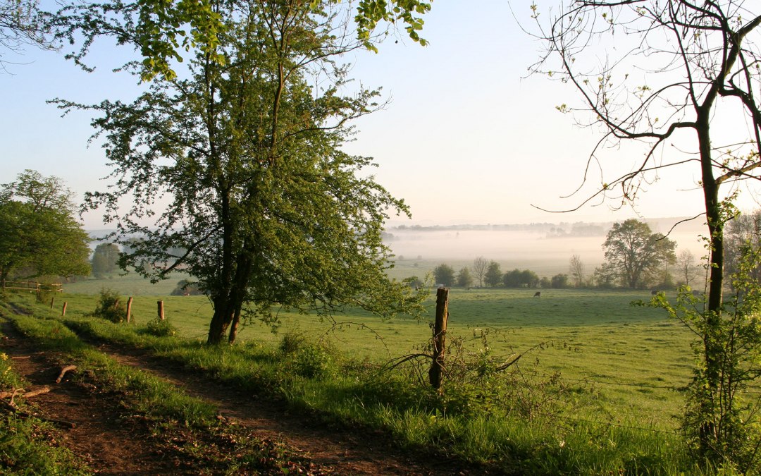 Mecklenburgische Schweiz, © Klax
