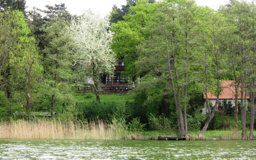 View from the lake to the house, © Bernhard Barth