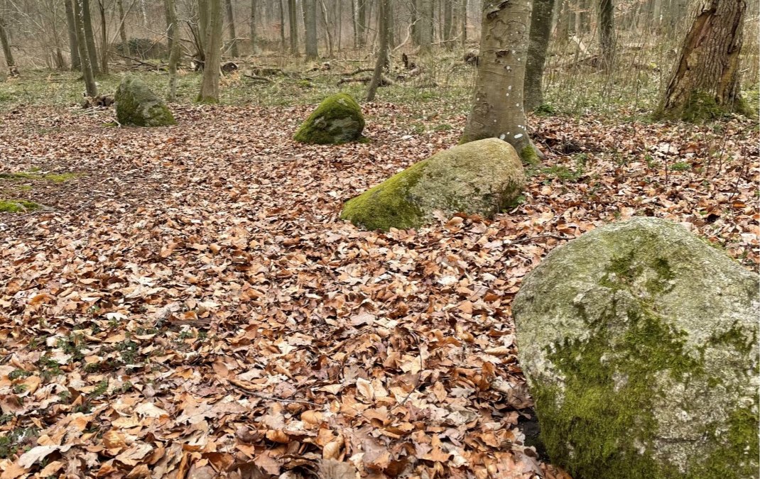 De Saale Apostelstenen, © Südliche Boddenküste