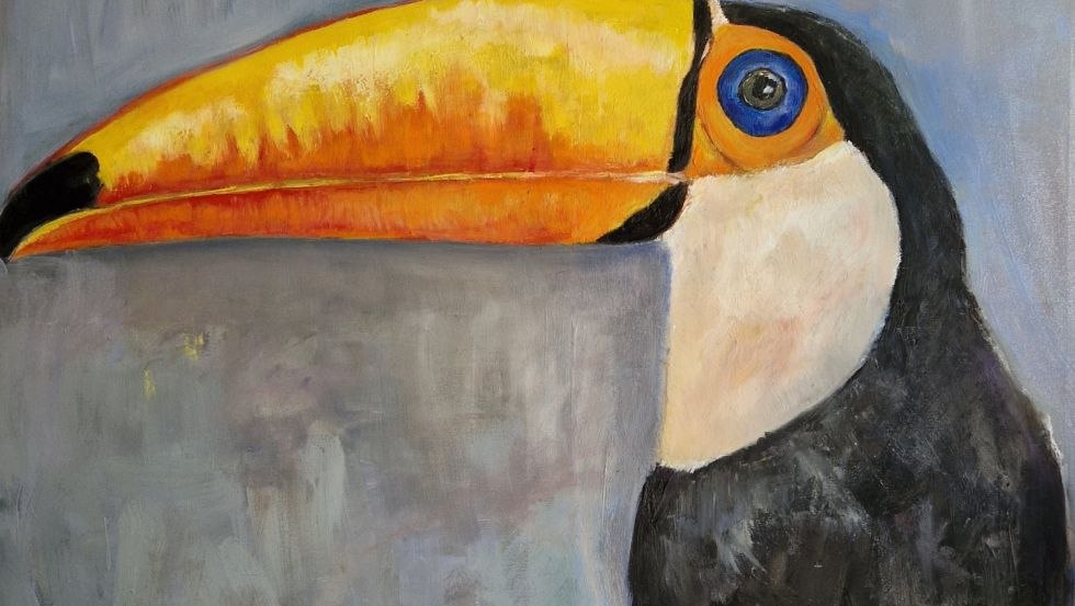 Toekan, © Caroline von Heydebreck Toekan, © Caroline von Heydebreck