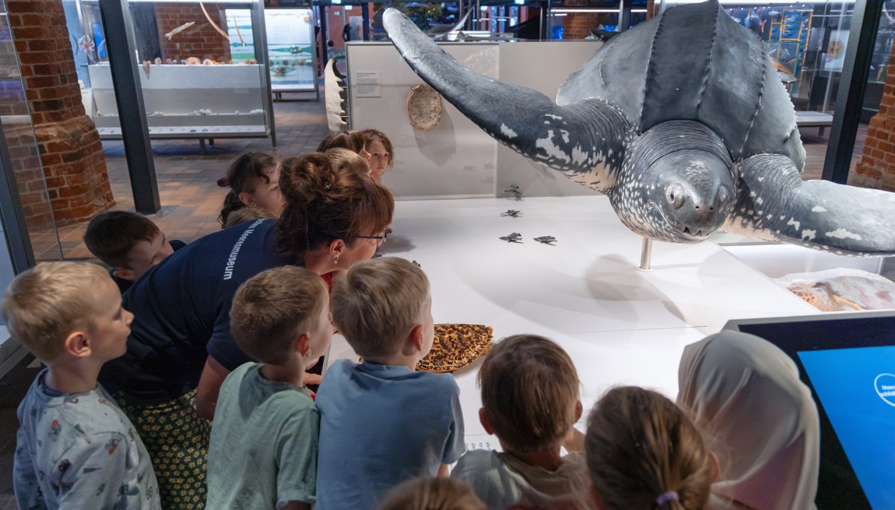 &copy; Anke Neumeister/Deutsches Meeresmuseum