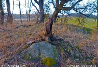 de megalithische graftombe midden op een met bomen begroeide heuvel, © Archäo Tour Rügen