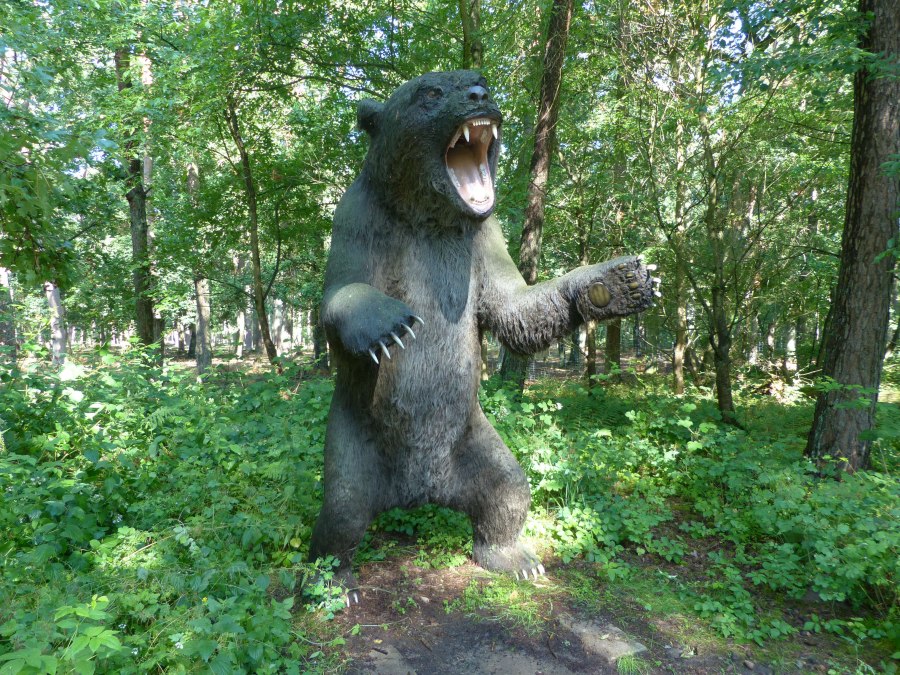 P1140115, &copy; Weichbrodt