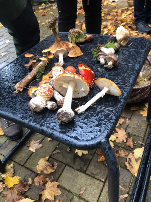 IMG-20251212-WA0042, &copy; Heike Brechler