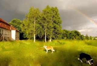 Neuhoff Castle, © Schloss Neuhoff Neuhoff Castle, © Schloss Neuhoff