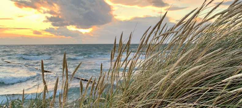 © Nationalparkamt/K.Bärwald © Nationalparkamt/K.Bärwald