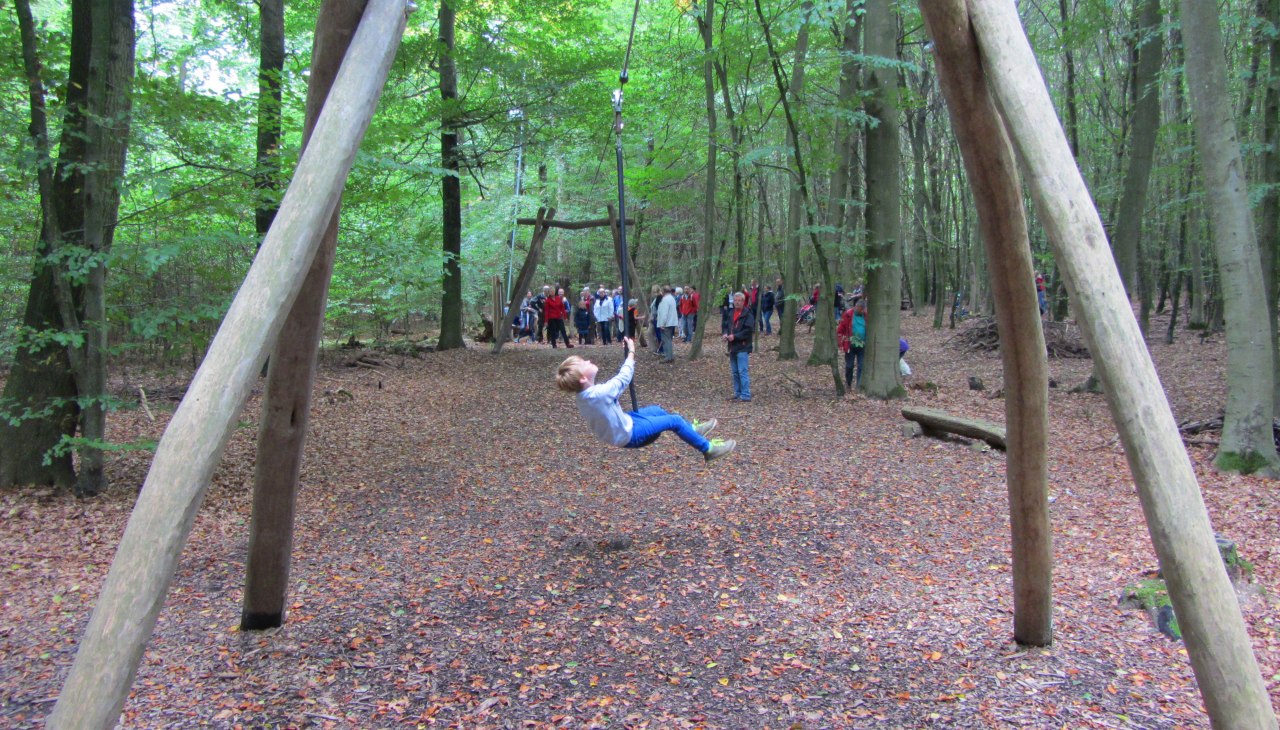 Ropeway at the forest adventure trail