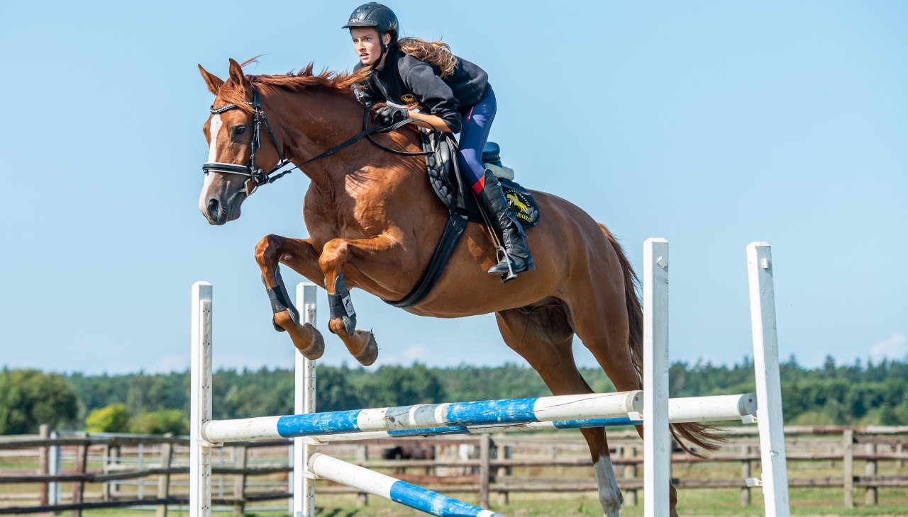 amber rider sale2018_boriskownatzki_061, © bernsteinreiter