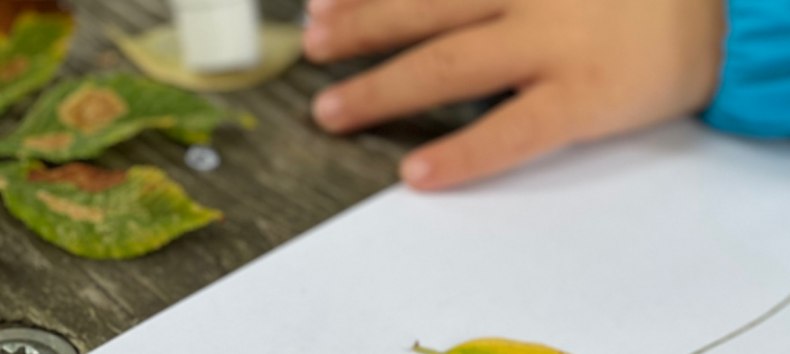 Maak met glas-in-lood en servetkunst kleurrijke herfstmotieven voor in huis. // &copy; Kunstsammlung Neubrandenburg