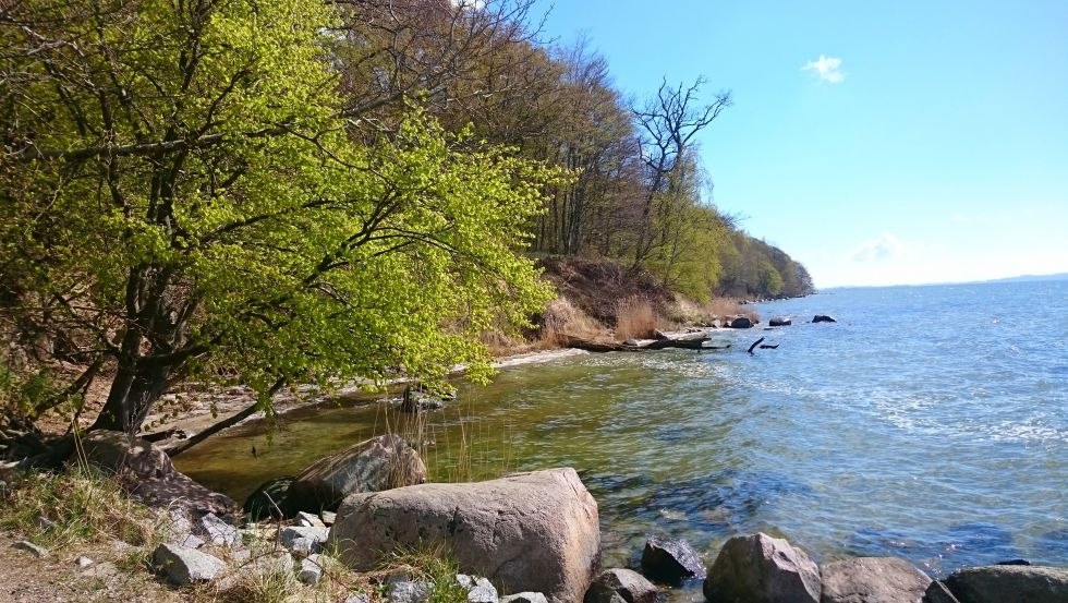 Station 5: Under the spell of coastal dynamics - the active cliff, © TMV/UB Station 5: Under the spell of coastal dynamics - the active cliff, © TMV/UB