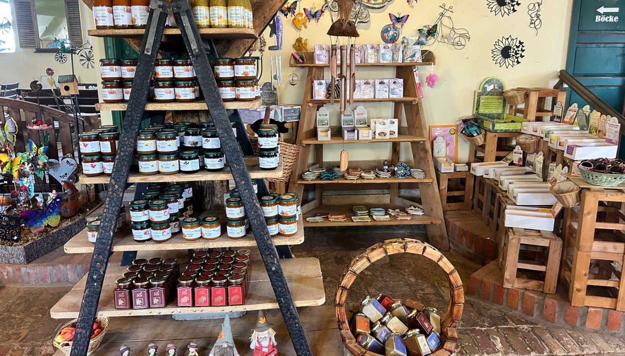 IMG-20250526-WA0019, © Katrin Berndt