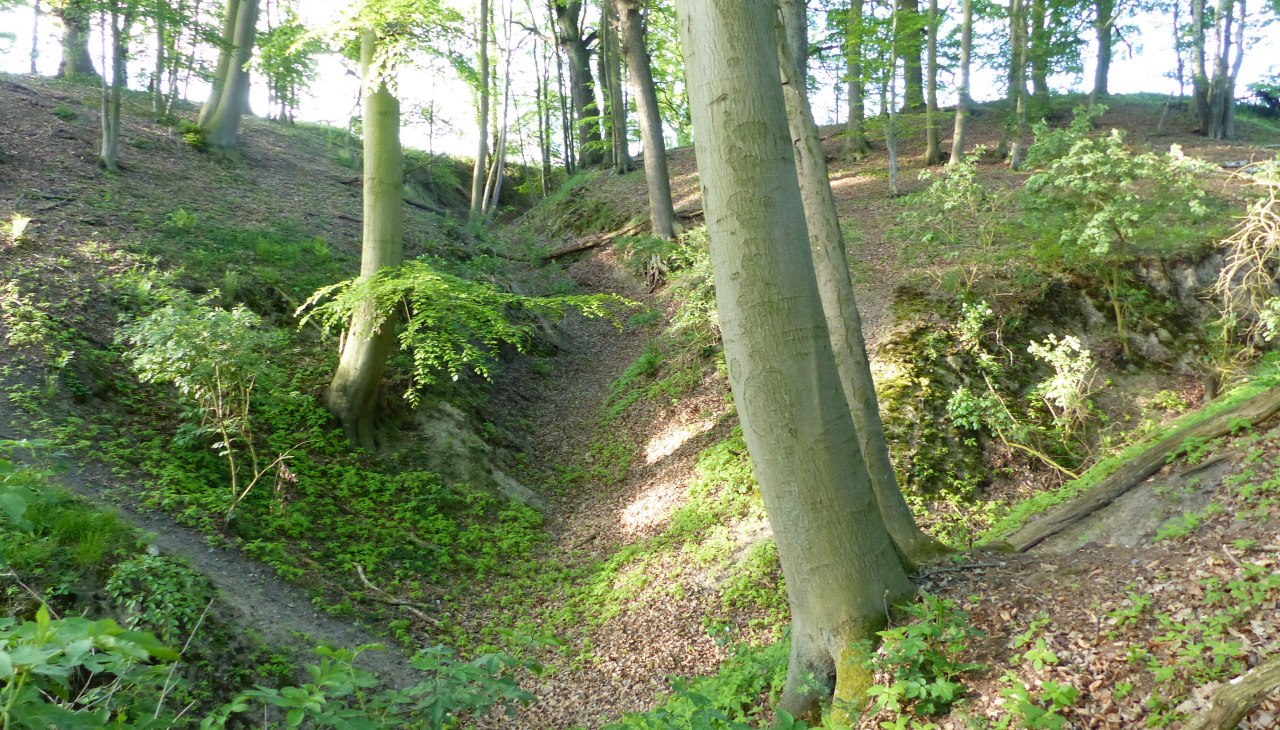 Landschap in de buurt van Langen Brütz, © Naturpark Sternberger Seenland