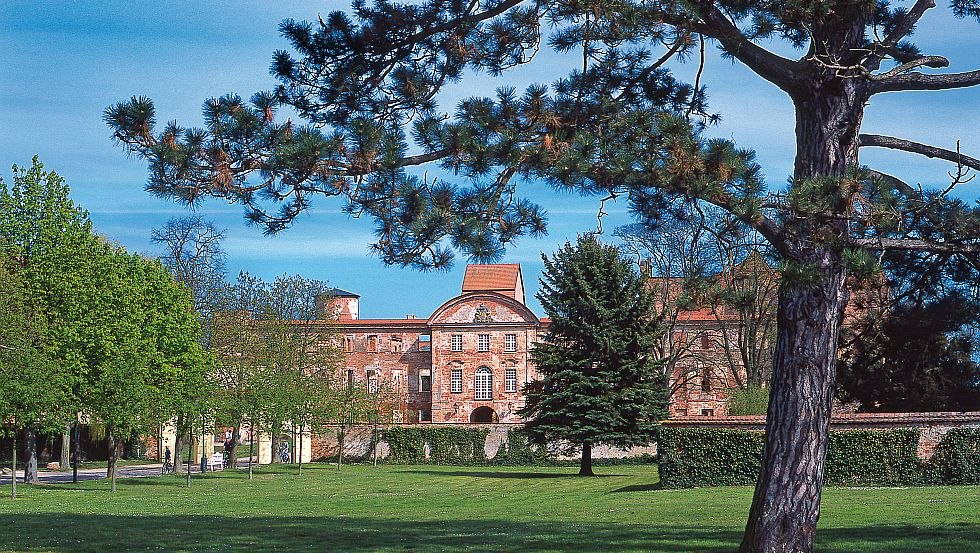 Z jednego z najważniejszych klasztorów i największych renesansowych zamków w Meklemburgii-Pomorzu Przednim pozostała jedynie ściana fundamentowa w Dargun // © MV-T/Legrand Z jednego z najważniejszych klasztorów i największych renesansowych zamków w Meklemburgii-Pomorzu Przednim pozostała jedynie ściana fundamentowa w Dargun // © MV-T/Legrand