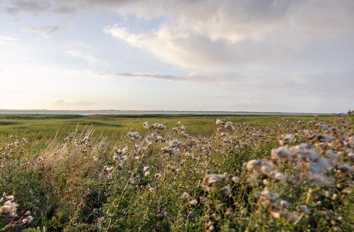 good-nisdorf-5238, &copy; Gut Nisdorf