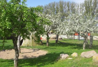 Frühling auf dem Eselhof // © Eselhof Schlage Frühling auf dem Eselhof // © Eselhof Schlage