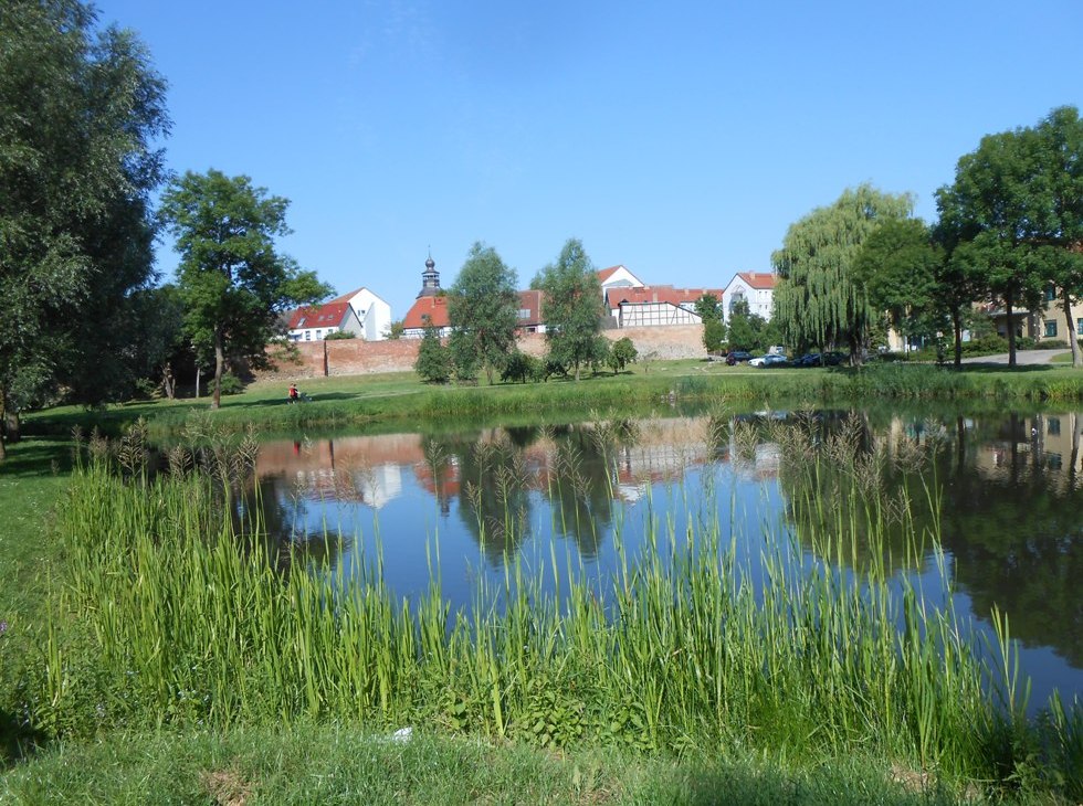 Zielona oaza Malchin (widok na miasto z parku), © Monika Kröger