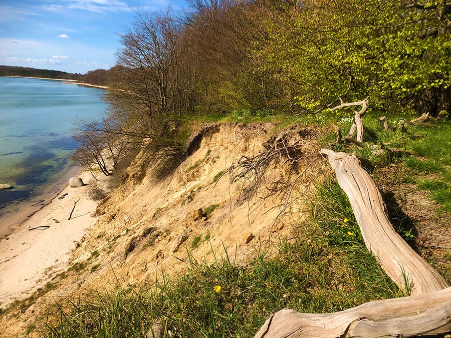 insel-vilm-gefuehrte-wanderung-lauterbach-ruegen, © Fahrgastreederei Lenz e.K