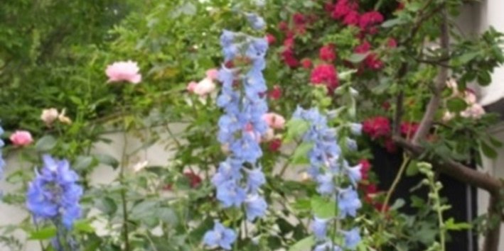 &copy; Bild8.jpg